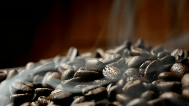 Java Journey